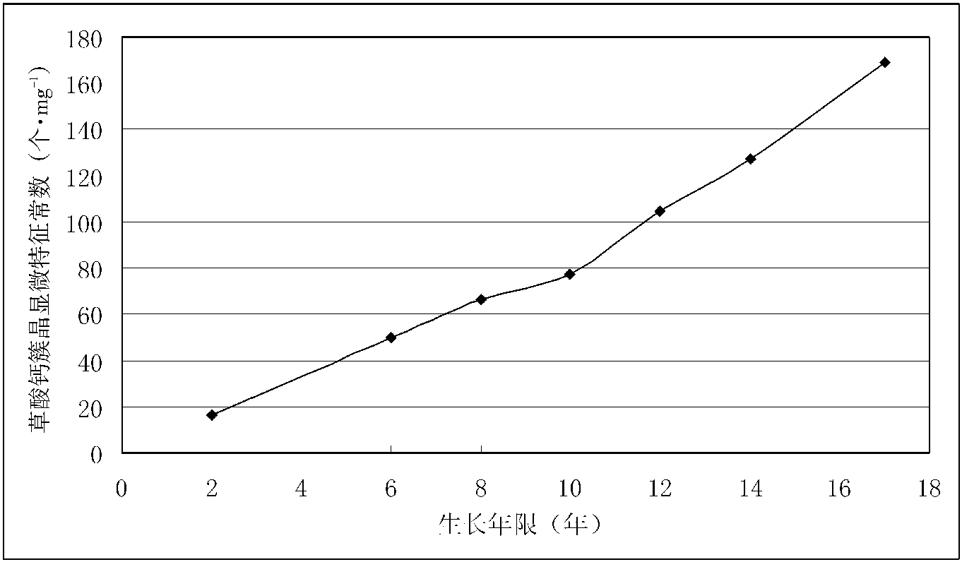 人參的草酸鈣顯微特征常數(shù)研究